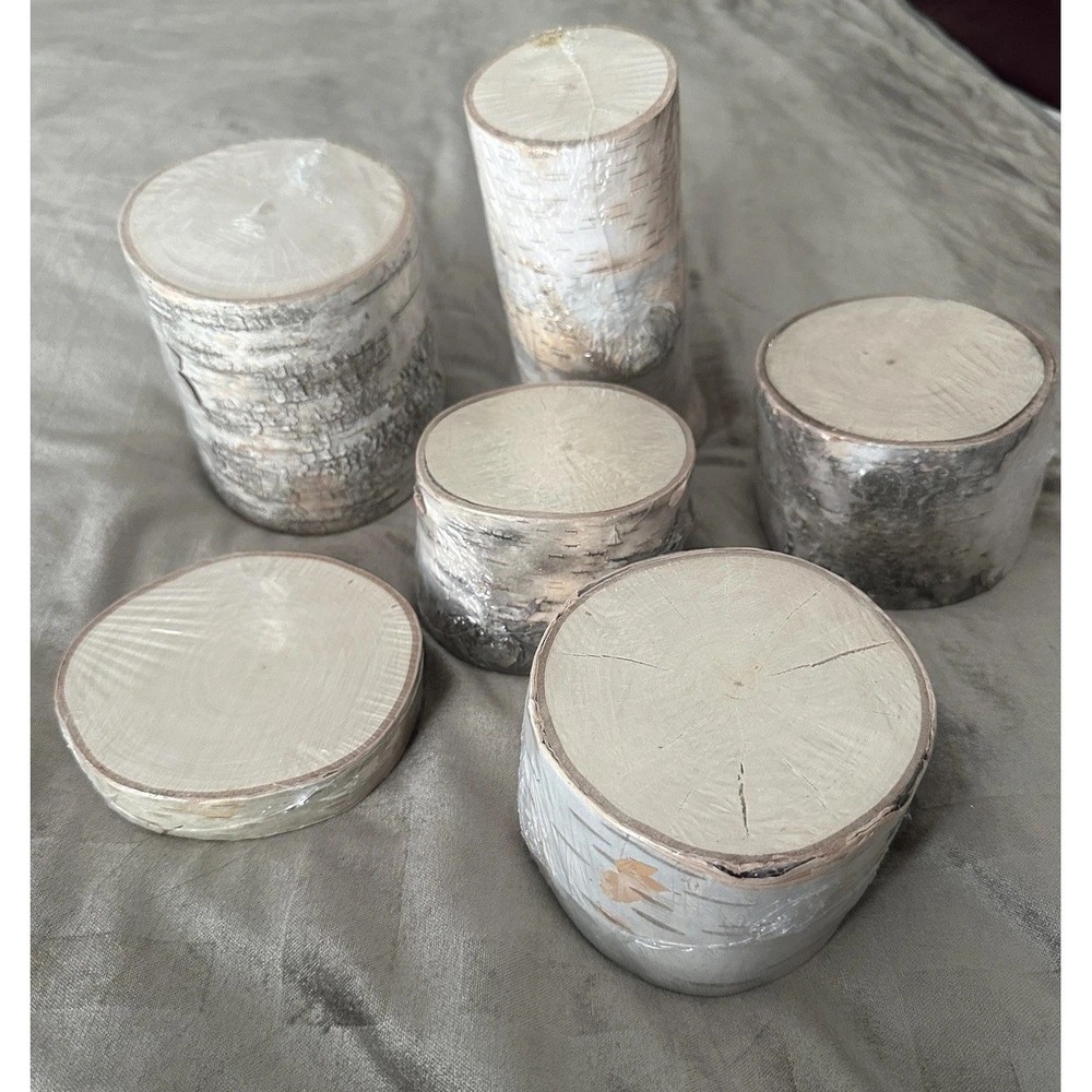 ArtMinds Birch Wood Rounds Slice Natural Unfinished Craft Decor Lot Of 6 USA